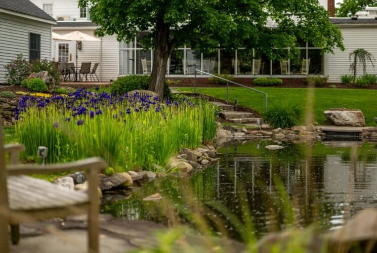 Calm little pond surrounded by rocks, purple flowers, green grass, trees, and nestled near the property