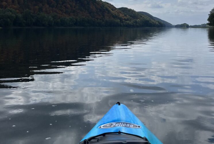 Tip of a blue kayak on calm waters surrounded by green trees