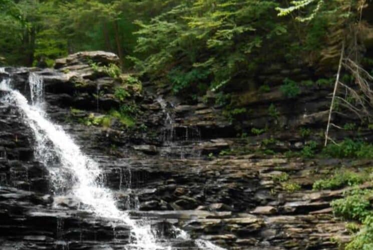 Small waterfall running down layered thin black rocks surrounded by green trees and vegetation