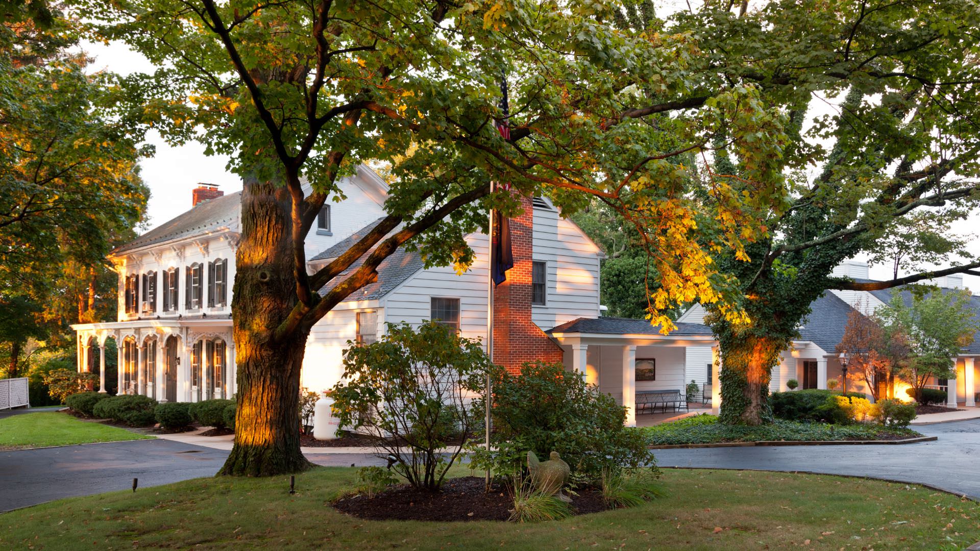 Exterior view of property painted white with dark shutters surrounded by green bushes, green grass, and large green trees