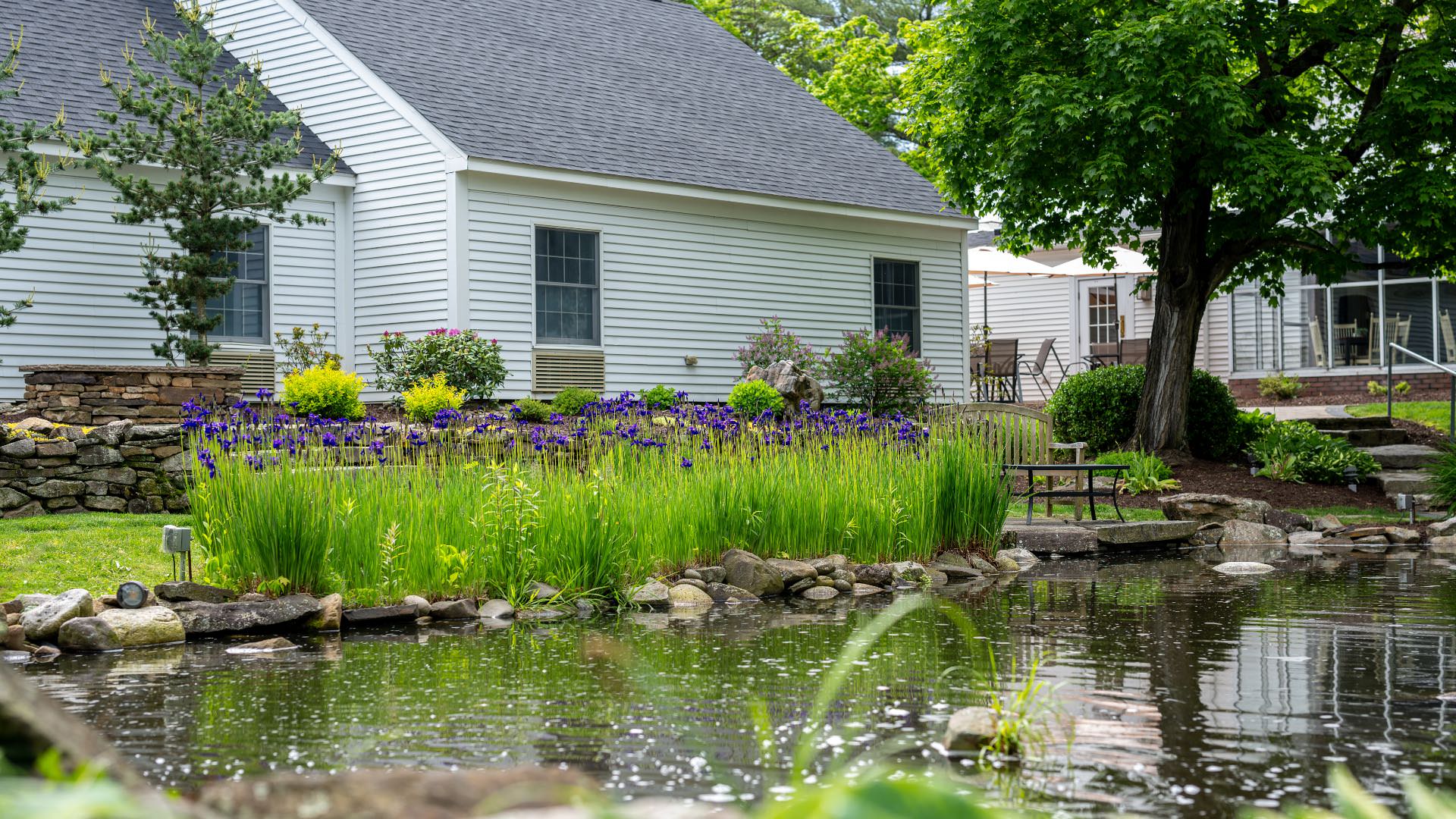 Calm little pond surrounded by rocks, purple flowers, green grass, trees, and nestled near the property