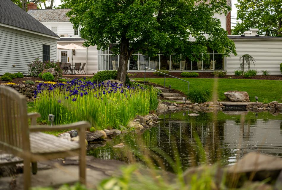 Calm little pond surrounded by rocks, purple flowers, green grass, trees, and nestled near the property