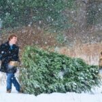 couple laughing carrying a cut christmas tree