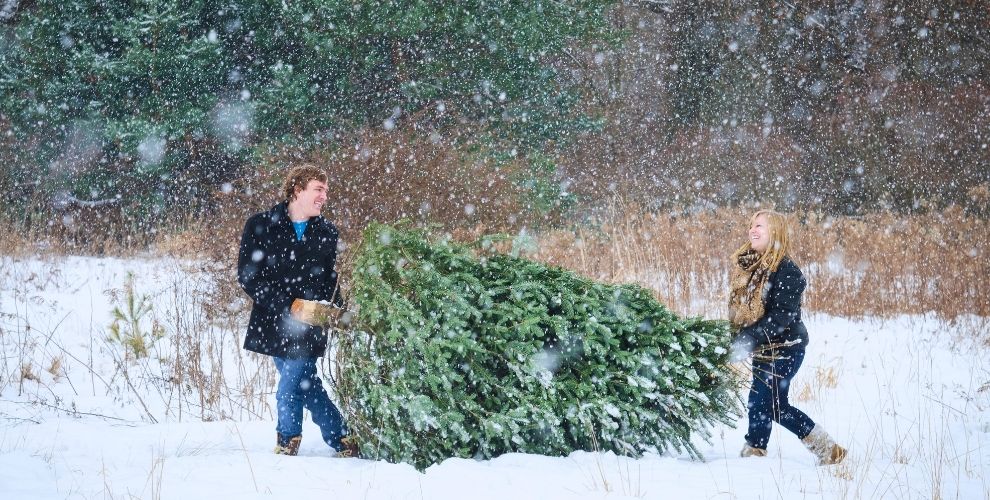 couple laughing carrying a cut christmas tree