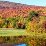 view of daytime fall foliage along river