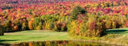 view of daytime fall foliage along river