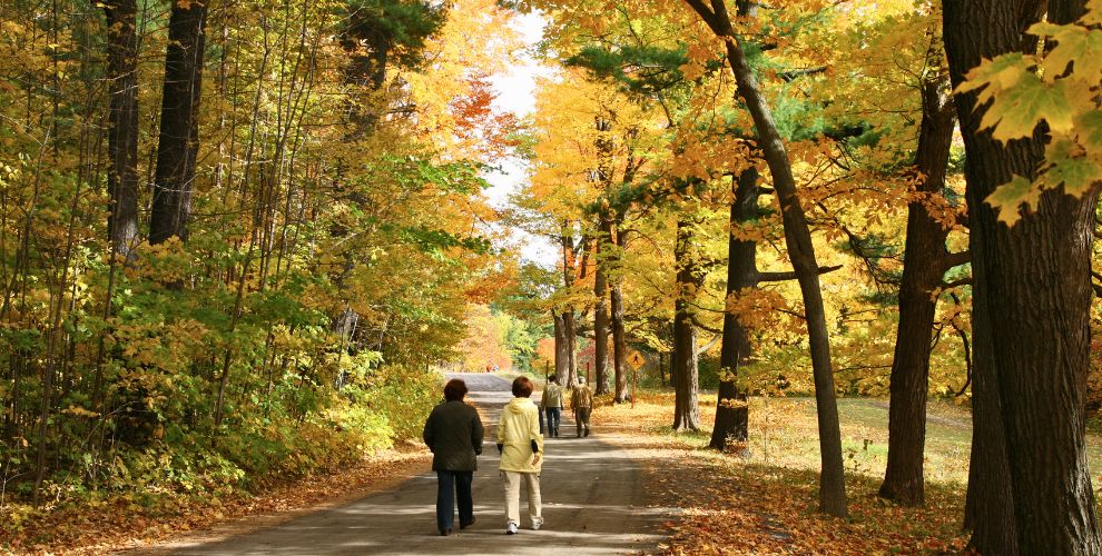 people strolling along outdoor hiking trail in fall